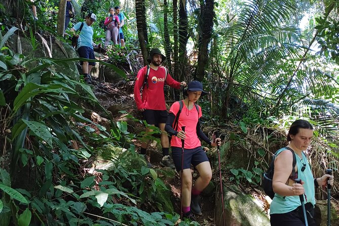 Small Group Hike to Saco Bravo Waterfall - Tour Overview