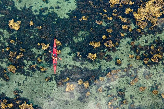 Small-Group Kayaking Experience in Lysefjord