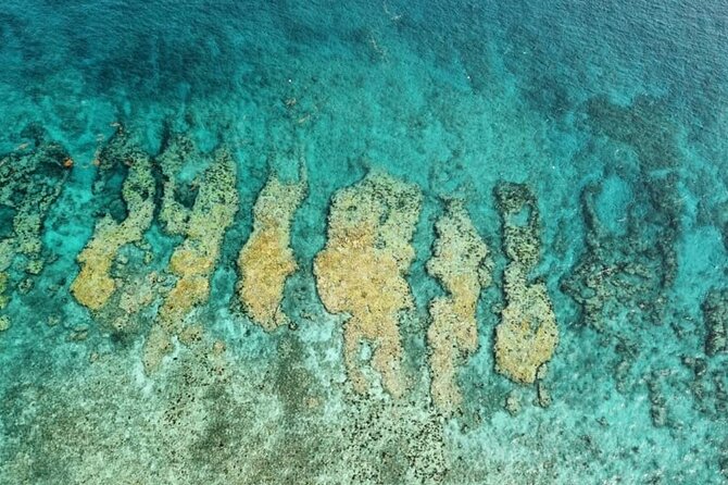 Small Group Key West Snorkel Adventure