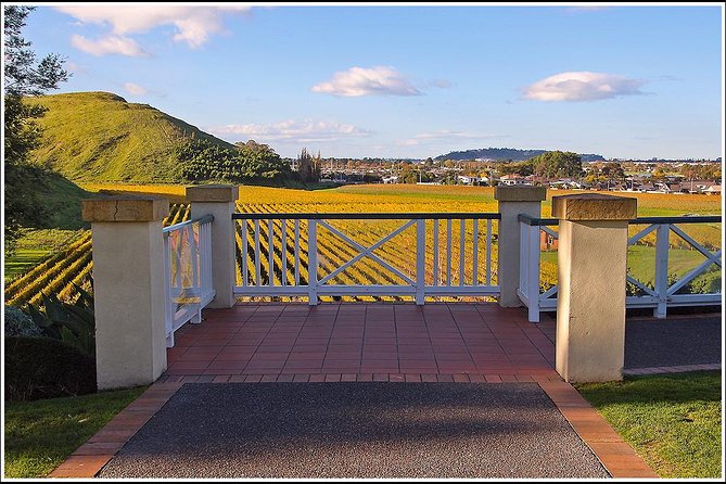 Small Group - Napier Wine Experience Tour - 5.5 - 6 Hours