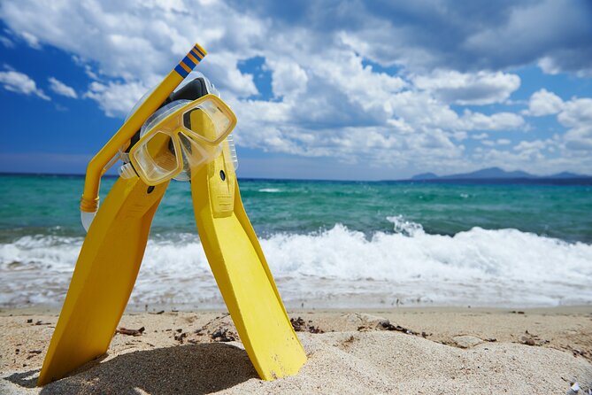 Small-Group Snorkel Adventure in San Jose Del Cabo