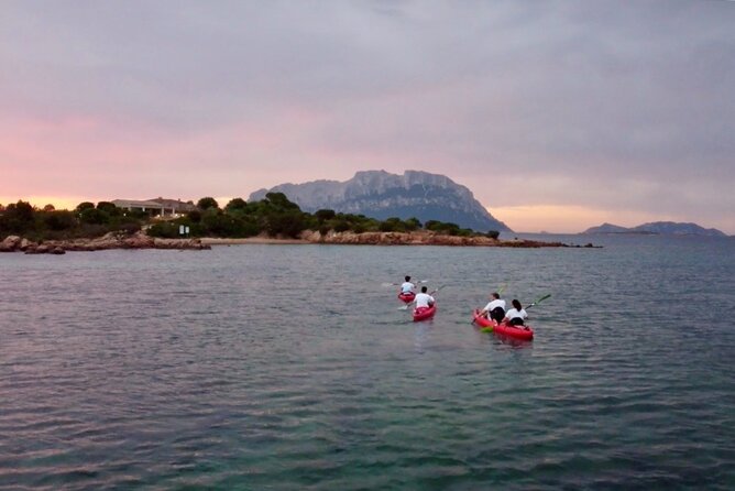 Small Group Sunrise Kayak Tour With Snorkeling and Coffee