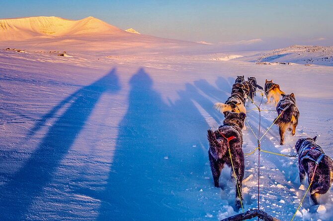 Small-Group Wilderness Husky Sledding 2h Away From Tromsø