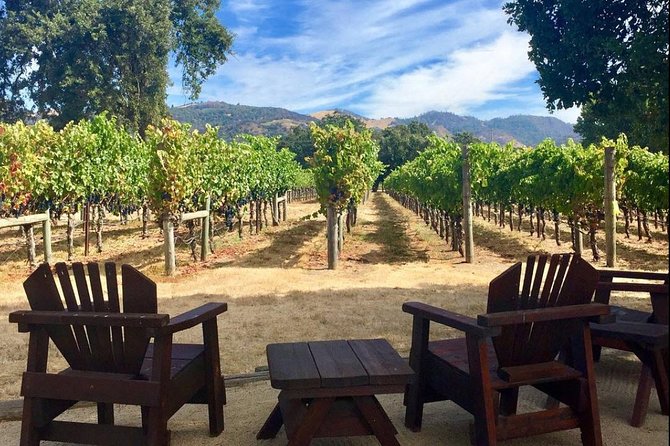 Small-Group Wine-Tasting Tour Through North Sonoma County - Inclusions