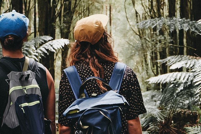 Small Group - Yarra Valley & Dandenong Ranges Hike From Melbourne - Included in the Tour