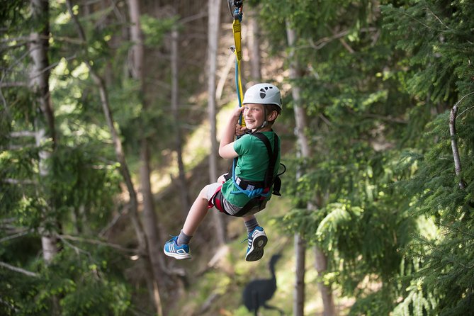 Small-Group Zipline Adventure in Queenstown