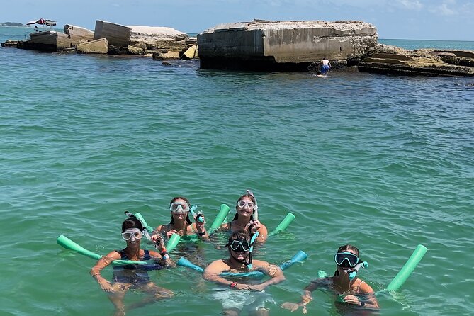 Snorkel, Shelling in St. Petersburg, FL, 3 Hours - Tour Overview and Details