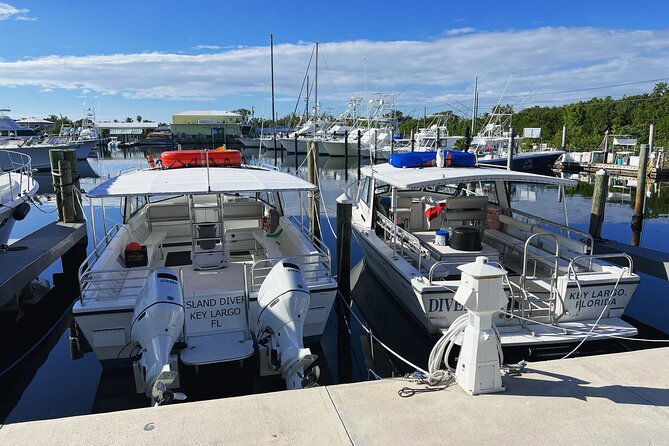 Snorkel Tours of the Key Largo Reef for up to 6 People