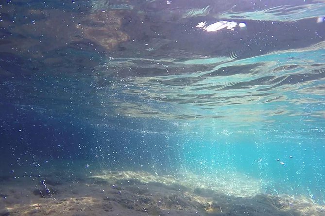 Snorkeling Among the Underwater Caves of Ischia Ponte - Overview of the Snorkeling Experience