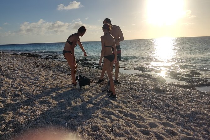 Snorkeling and Grilling Fresh Fish at Donkey Beach