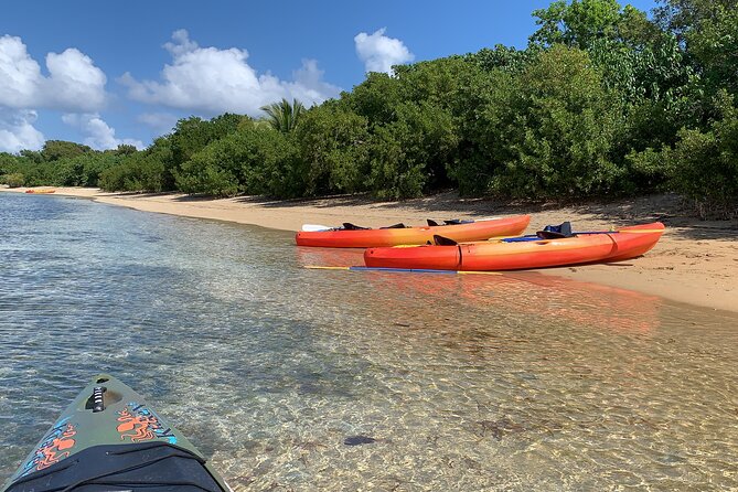 Snorkeling and Kayak Eco-Experience