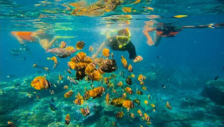 Snorkeling at Blue Lagoon and Waterfall – All Inclusive