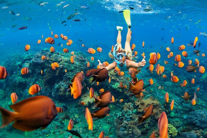 Snorkeling at Blue Lagoon Bali With Lunch and Transport