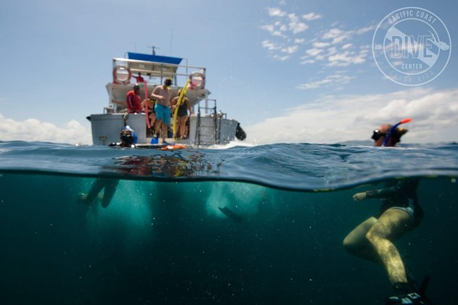 Snorkeling at Catalina Islands & North Island - CR - Tour Overview and Details