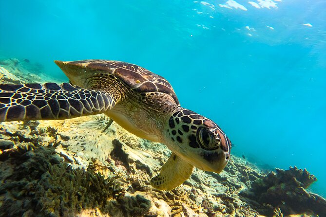 Snorkeling Experience at Ad Daymaniyat Islands in Muscat - Inclusions
