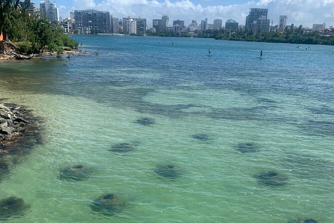 Snorkeling Guided Tour Experience in Condado Lagoon - Meeting Point and Transportation