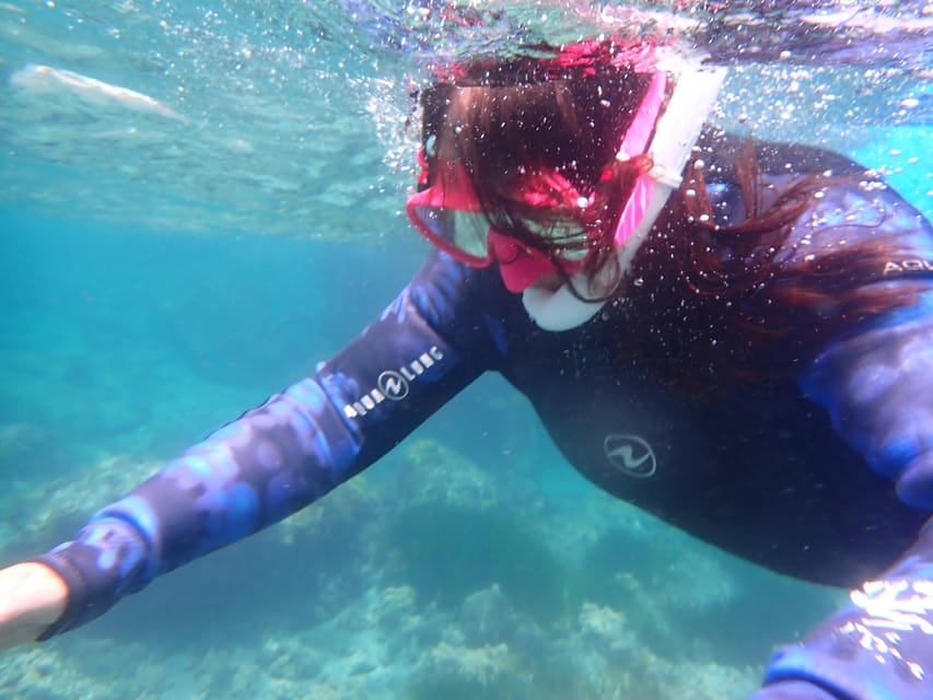 Snorkeling Guided Tours for Tha All Family!