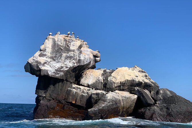 Snorkeling in Cabo Rosa Tunnels Isabela Island