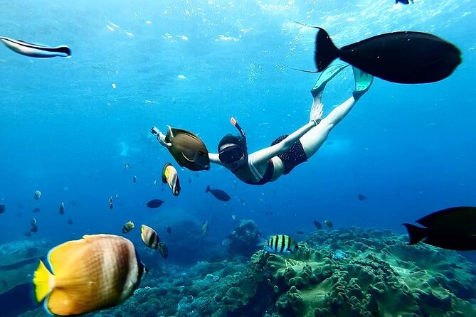 Snorkeling In Nusa Penida And Uluwatu Sunset Tours - Tour Overview