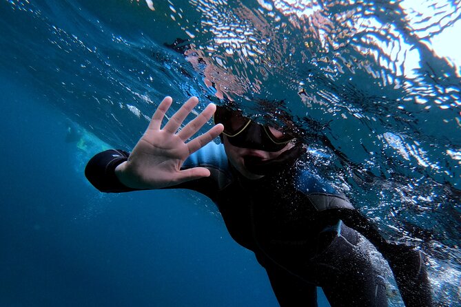 Snorkeling in Vila Franca Do Campo