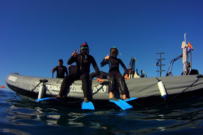 Snorkeling Tour With Sea Turtles and Stingrays