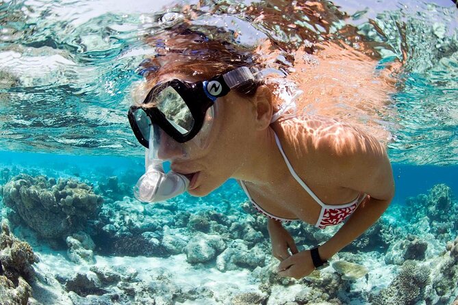 Snorkeling Tour