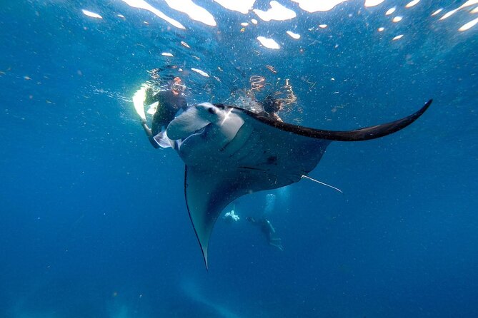 Snorkeling With Manta Rays in Nusa Penida Experience (All-Inclusive) - Snorkeling Sites to Explore