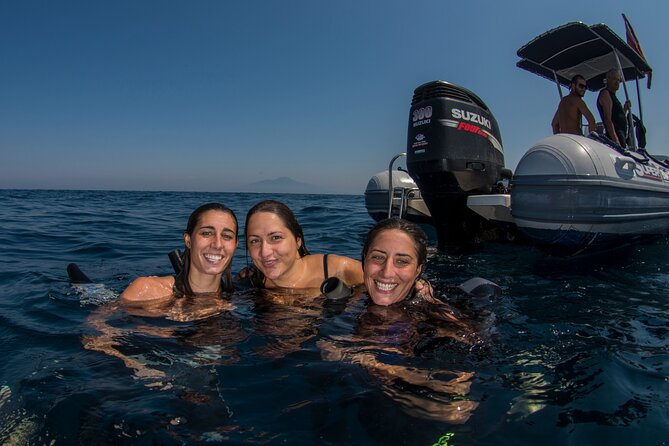 Snorkeling With Marine Biologist Expert From Sorrento - Overview of Snorkeling Experience