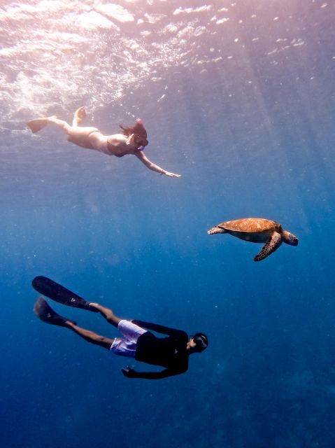Snorkeling With Turtle and Underwater Statue in Gilis
