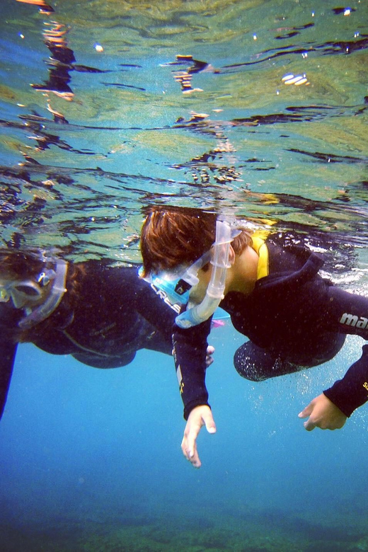 Snorkelling Experience in South of Gran Canaria