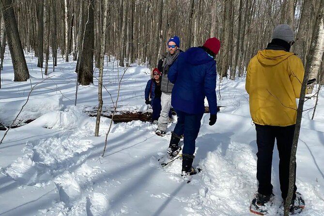 Snowshoe Awenda Provincial Park on Beautiful Georgian Bay