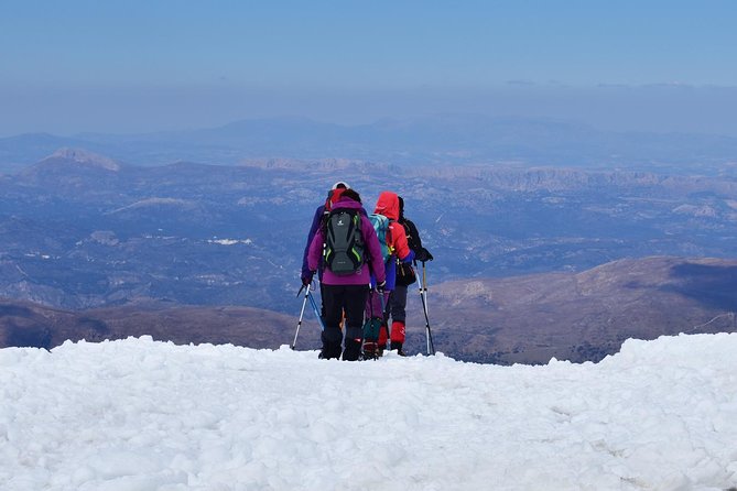 Snowshoe Hiking in Sierra Nevada (Granada) - Overview and Details