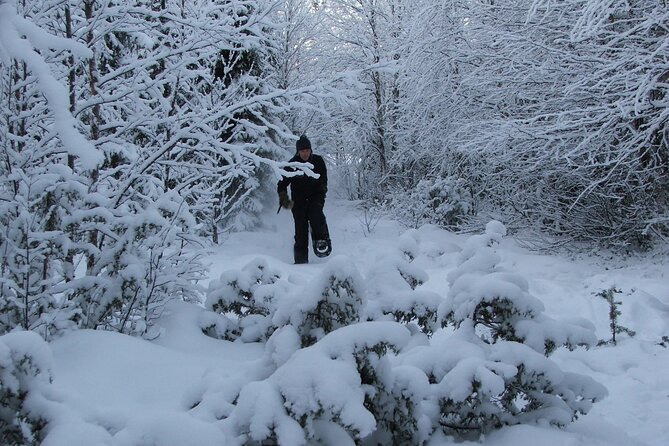 Snowshoe in a Winter Forest