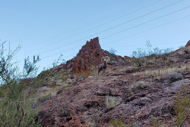 Soak Under the Stars in a Natural Hot Spring - Experience Soaking in a Hot Spring