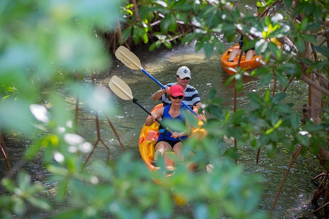 SoCoHo Half Day - Mangrove Kayak & Reef Snorkeling