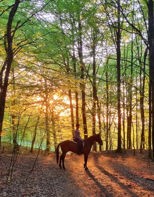 Söderåsen National Park: Horseback Riding Vacation 2 Nights