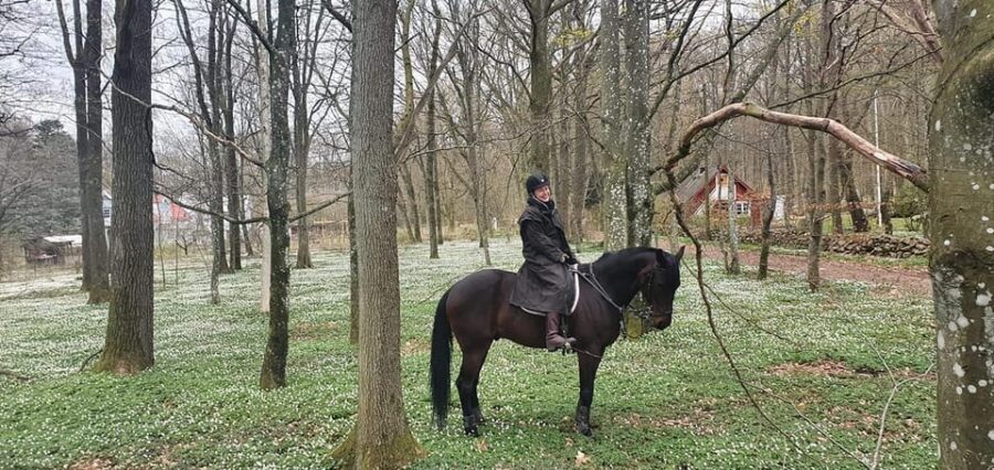 Söderåsen National Park: Horseback Riding Vacation 4 Nights