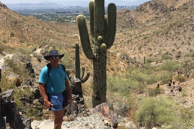 Sonoran Desert Solo Hike for 1.5 Hours With Private Guide