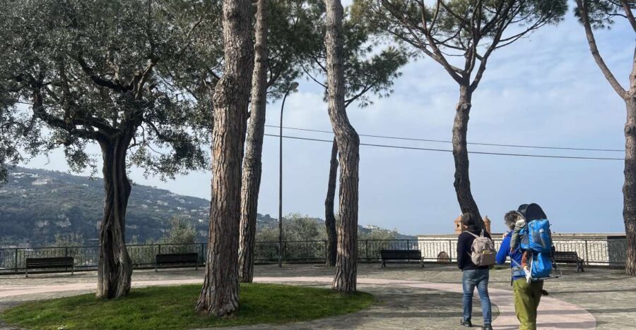 Sorrento: From the Hills to the Sea Hiking Tour - Tour Overview
