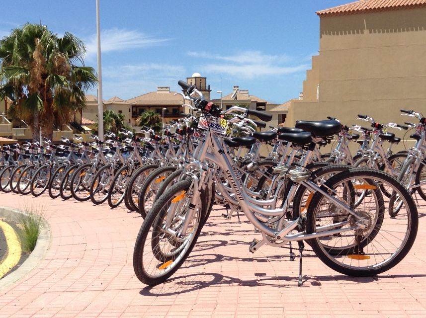 South Tenerife: Bike Rental With Hotel Delivery