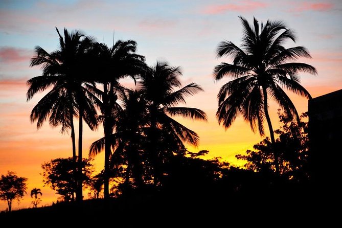 Southern Caribbean Tour: Swimming With Turtles, Bats, Diamond (Weather Permitting).
