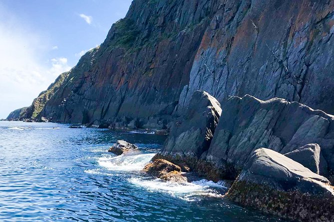 Southern Ocean Adventure From Victor Harbor