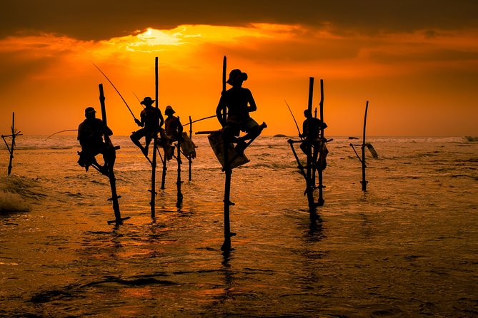 Southern Sri Lanka Sightseeing Day Trip From Colombo & Negombo - Included Amenities