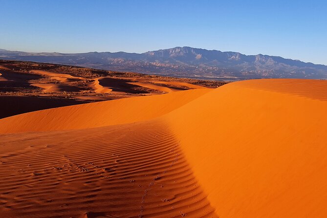Southern Utah Full-Day ATV Tour