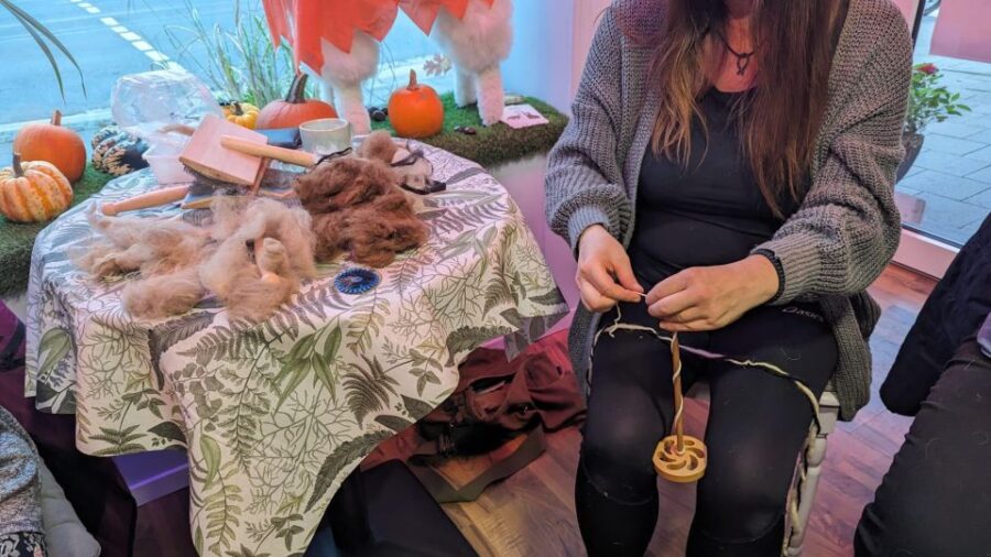 Spin Course With Alpaca Wool - Course Overview