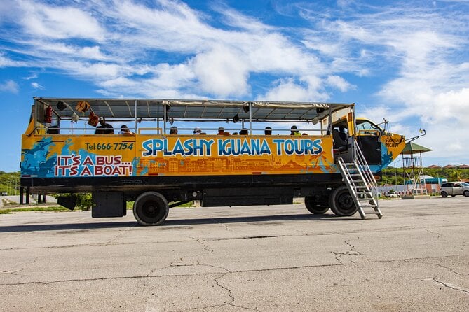 Splashy Iguana Tour in Curacao