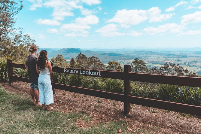 Springbrook Andtamborine Rainforest Tour Incl Natural Bridge and Glow Worm Cave