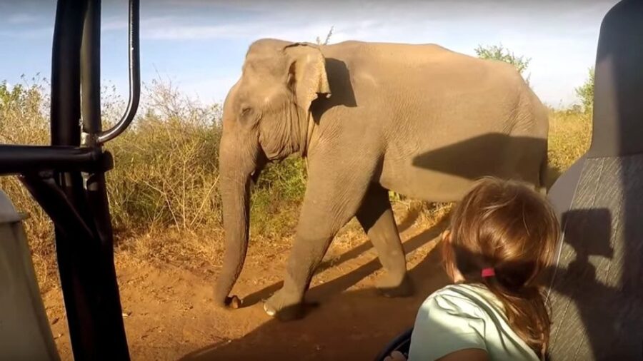 Sri Lanka 2-Day National Parks Trip - Trip Overview