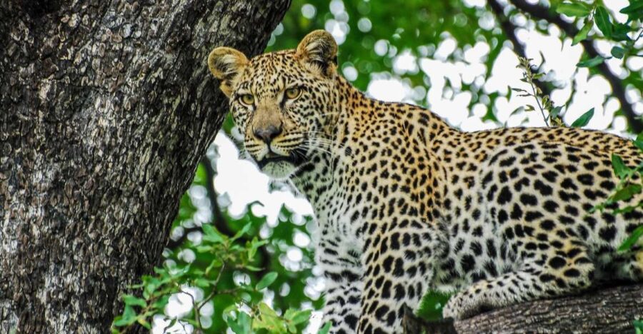 Sri Lanka: 7-Day Off-The-Beaten Path Tour - Colombo to Sigiriya
