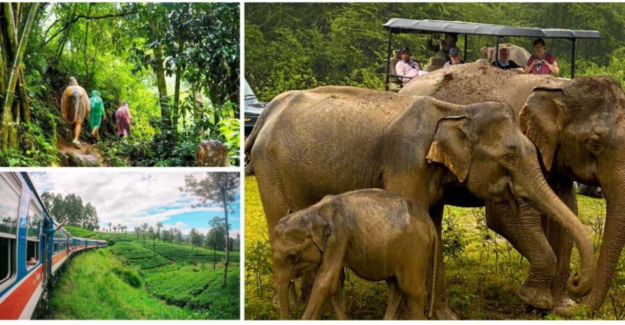 Sri Lanka Green Bless- Ultimate 2 Days Trip to Enjoy Nature - Tour Overview and Pricing